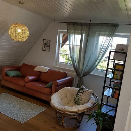 Apartament Schoene, Helle Fewo Fuer 4 Personen Ettenheim Zewnętrze zdjęcie
